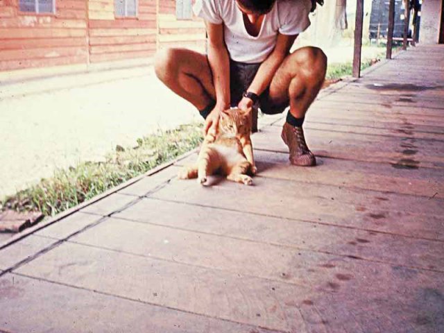PET15_JR