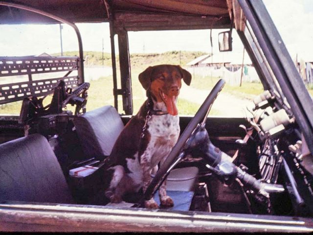 PET17_JR