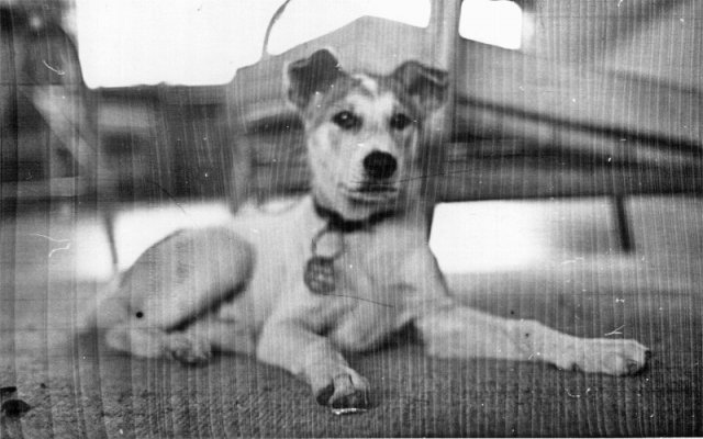 PET20_DB