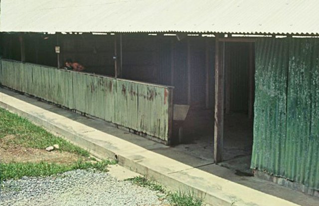 SEM67_DB