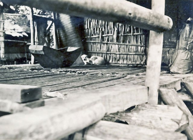 ULU10_GS