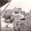 MSC39_CA
