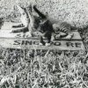 PET12_SL