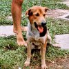 PET25_JS