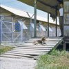 PET26_JS