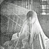 SEM08_DD