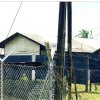 SEM31_BL