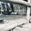 ULU10_GS